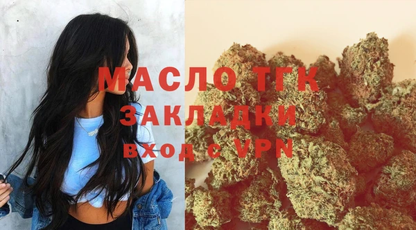 мет Няндома