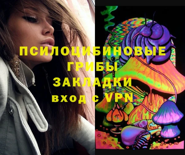мет Няндома