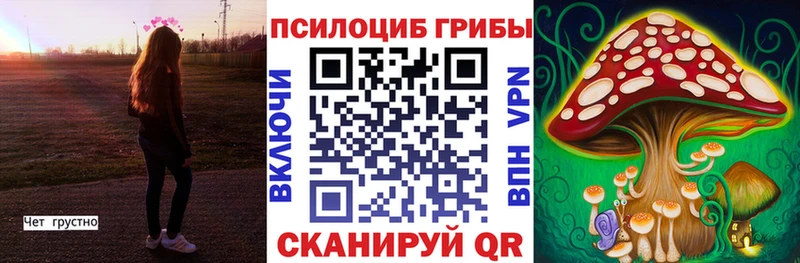 Псилоцибиновые грибы MAGIC MUSHROOMS  цена наркотик  Чехов 